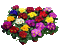 Frühling, Blumen, - 無料のアニメーション GIF アニメーションGIF