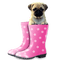 Kaz_Creations Dog Pup In Boots - Free PNG Animated GIF