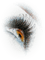 eyes.Cheyenne63 - Free PNG Animated GIF