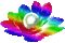 Animated.Flower.Pearl.Rainbow - By KittyKatLuv65 - GIF animé gratuit GIF animé