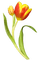 Kaz_Creations Deco Flowers Tulips Flower - nemokama png animuotas GIF