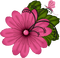 Kaz_Creations Deco Flower Butterfly Insects  Colours - zadarmo png animovaný GIF