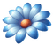 BLUE FLOWER - GIF animé gratuit