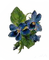 flowers katrin - nemokama png animuotas GIF