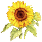 Sunflower Art - Darmowy animowany GIF animowany gif