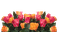 kukka, flower, fleur, rose - zdarma png animovaný GIF