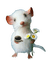Maus - ilmainen png animoitu GIF