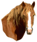 Kaz_Creations Animals Horses Horse - gratis png animeret GIF
