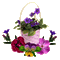 pansy flowers bp - Darmowy animowany GIF animowany gif