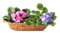 цветы - zadarmo png animovaný GIF
