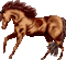 horse - Ingyenes animált GIF animált GIF