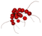 jul-bär-blomma-röd - ilmainen png animoitu GIF