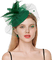 Femme avec voilette - безплатен png анимиран GIF