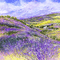 soave background animated field lavender vintage