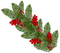 pine branch - ingyenes png animált GIF