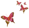 papillon - darmowe png animowany gif