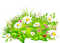 Y.A.M._Summer Flowers Decor - png gratis GIF animado