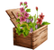 Caja de madera con flores