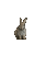 Кролик - GIF animé gratuit GIF animé