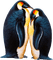 Kaz_Creations Penguins 🐧 - ingyenes png animált GIF