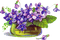 violets - png grátis Gif Animado