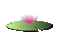 Flower, Flowers, Lotus, Water Lily, Deco, Decoration, Pink, Green, Animation, Gif - Jitter.Bug.Girl