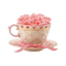 Teacup of Pink Roses