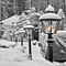 background animated hintergrund winter milla1959 - Zdarma animovaný GIF animovaný GIF