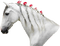 horse head bp - png gratis GIF animado