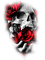 soave deco gothic skull  black white red - PNG gratuit GIF animé