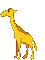 girafe - GIF animé gratuit GIF animé