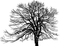 puu, tree, black and white - PNG gratuit GIF animé