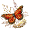 papillon - Besplatni animirani GIF animirani GIF