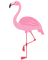 kikkapink flamingo pink