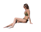 kvinna bikini----woman In bikini - Free PNG Animated GIF