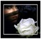 femme rose blanche - gratis png animeret GIF