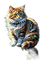 cat - безплатен png анимиран GIF