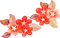 autumn red flowers kikkapink flower - 免费PNG 动画 GIF