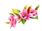 flowers milla1959 - δωρεάν png κινούμενο GIF