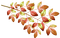 leaves, lehdet, sisustus, decor - png gratis GIF animasi