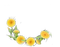 dandelion crown pissenlit couronne - PNG gratuit GIF animé