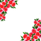 kikkapink roses frame spring flowers - безплатен png анимиран GIF
