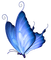blue butterfly 2 - bezmaksas png animēts GIF