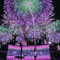 Purple Fireworks - Animovaný GIF zadarmo animovaný GIF