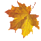 autumn leaves deco