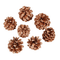Pine Cones - Free PNG Animated GIF
