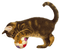 Kaz_Creations Cats Kittens Cat Kitten Ball - безплатен png анимиран GIF