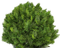 Baum - zadarmo png animovaný GIF