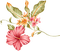 dolceluna pink asian flower - бесплатно png анимированный гифка