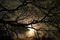 maisema landscape syksy autumn darkness - png gratuito GIF animata